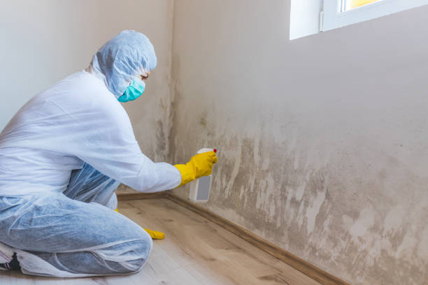 Crawl Space Mold Remediation treatment of floor joists in Earleville